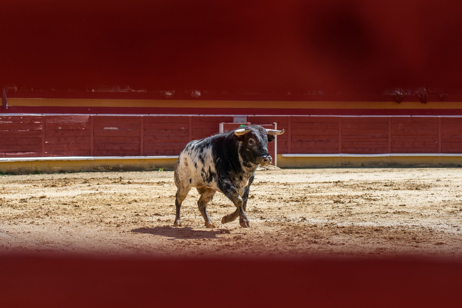 El broche de oro a una gran temporada de novilladas